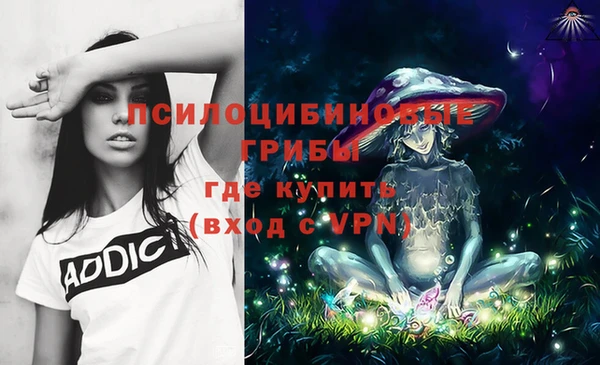 не бодяженный Абаза